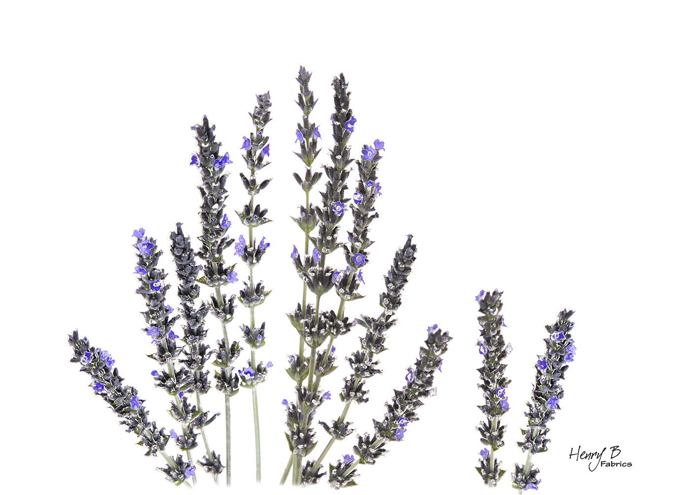 lavender-placemat-3